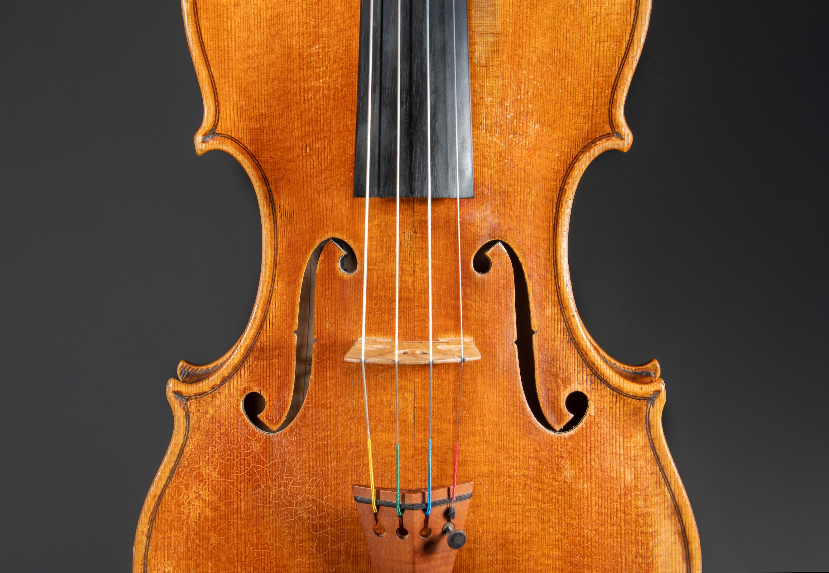 Violin Front View